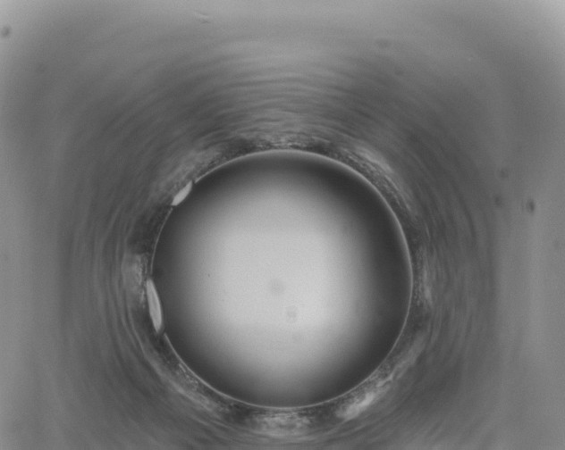 X0000061750121200512091645