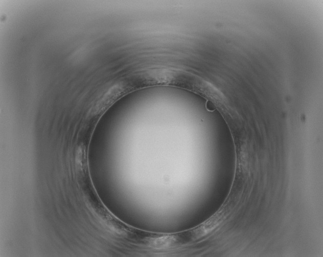 X0000061750122200512091645