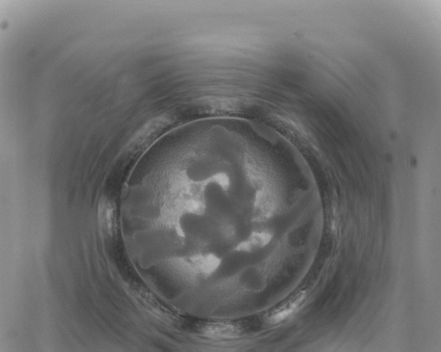 X0000061750123200512091645