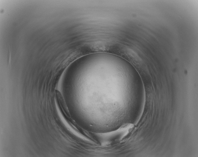 X0000061750125200512091645