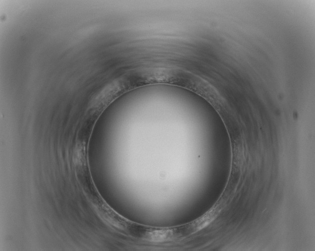 X0000061750126200512091645