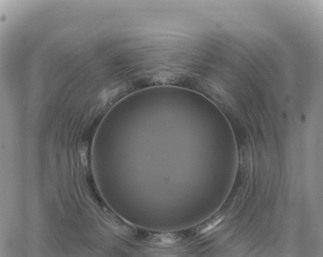 X0000061750127200512091645