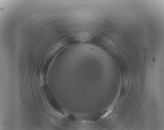 X0000061750128200512091645