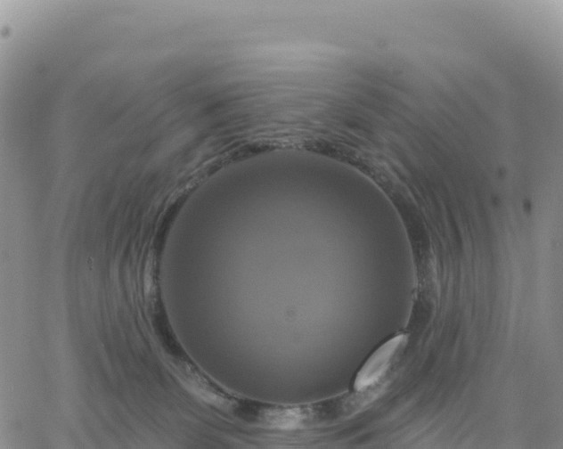 X0000061750131200512091645