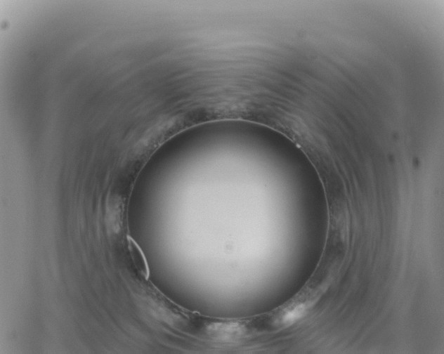 X0000061750133200512091645