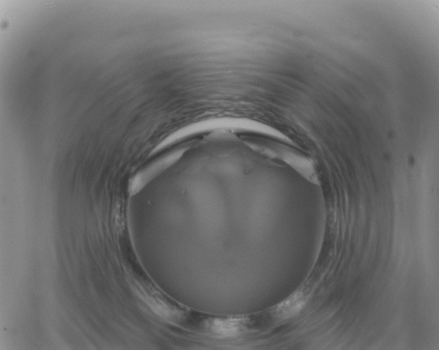 X0000061750134200512091645