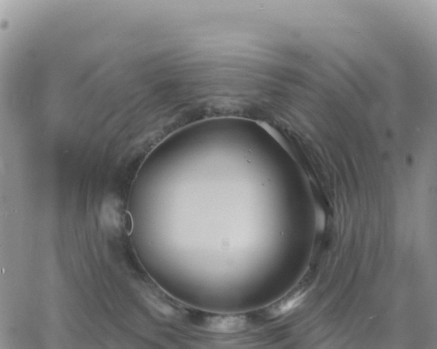 X0000061750135200512091645