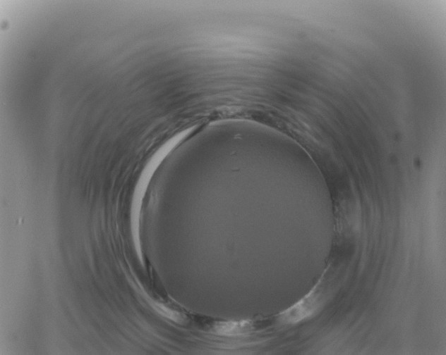 X0000061750136200512091645