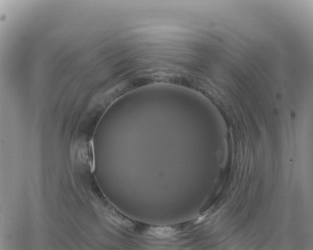 X0000061750137200512091645