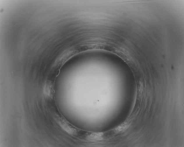 X0000061750138200512091645