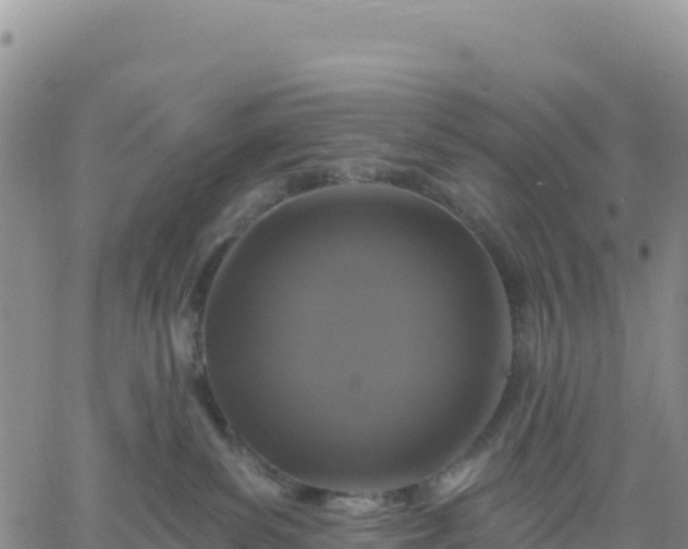 X0000061750139200512091645