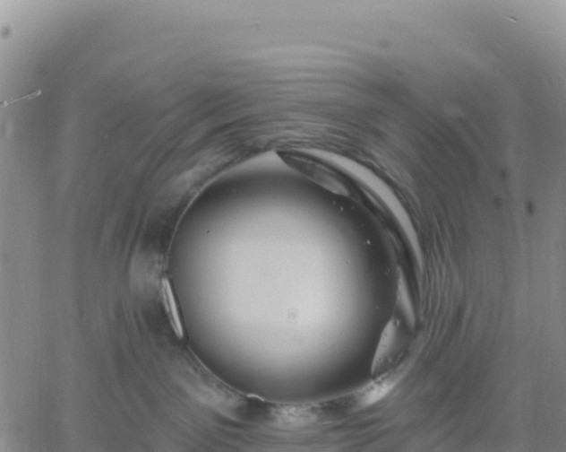 X0000061750141200512091645