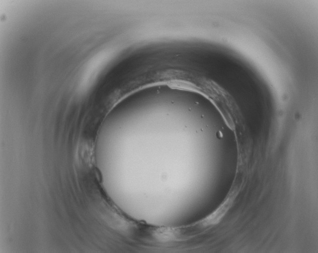 X0000061750142200512091645