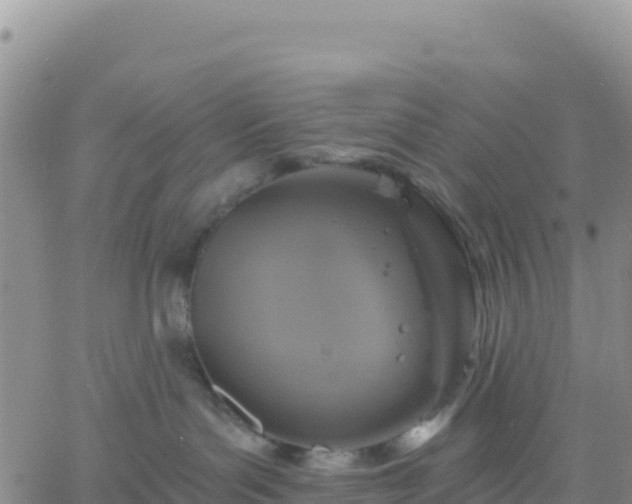 X0000061750143200512091645