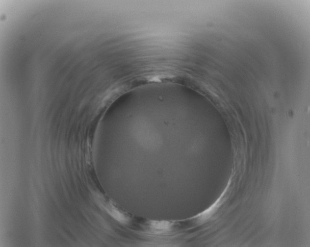 X0000061750144200512091645