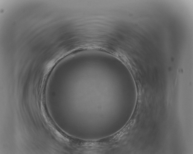 X0000061750145200512091644