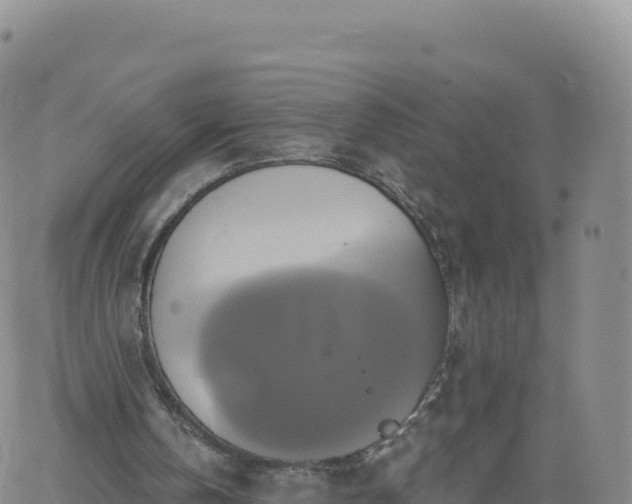 X0000061750146200512091644