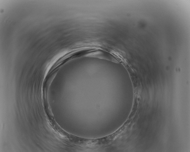 X0000061750148200512091644