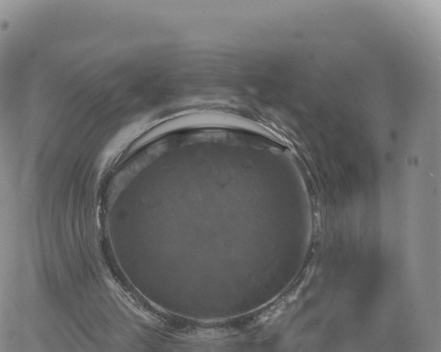 X0000061750149200512091644