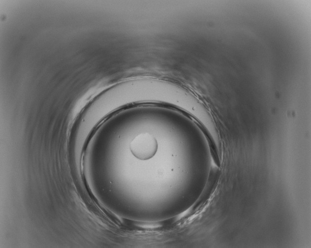 X0000061750150200512091644