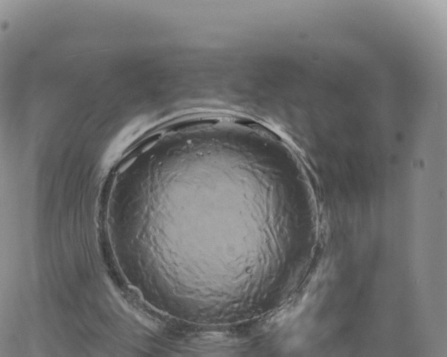 X0000061750151200512091644