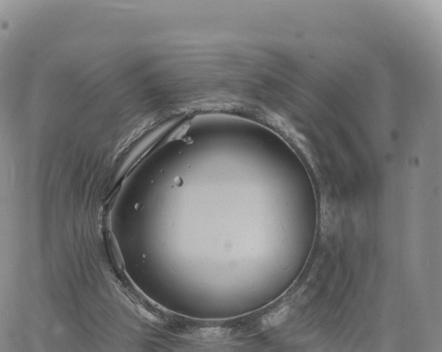 X0000061750153200512091644