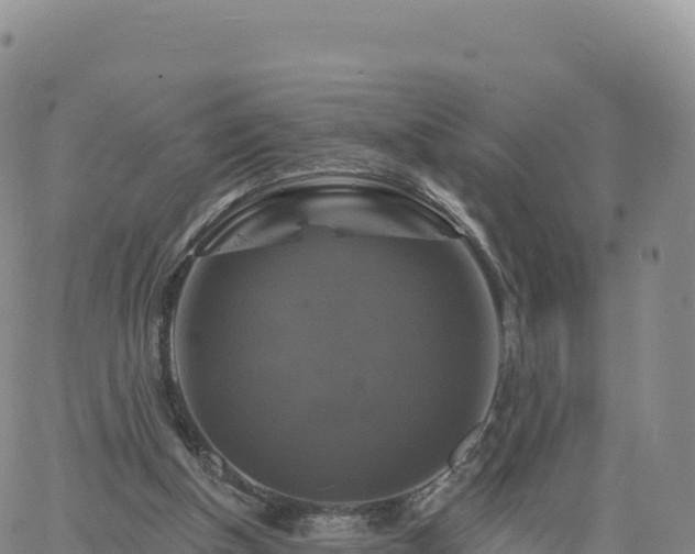 X0000061750154200512091644