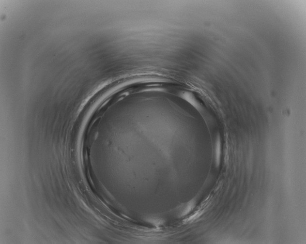 X0000061750156200512091644