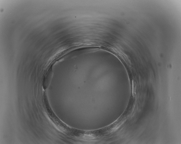 X0000061750157200512091644