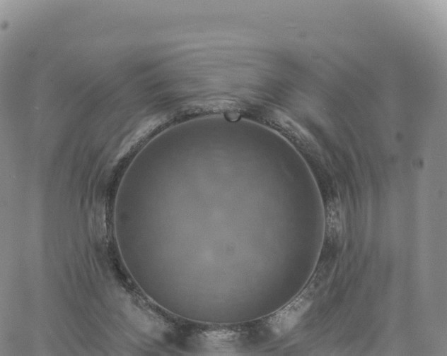 X0000061750158200512091644