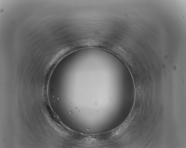 X0000061750159200512091644