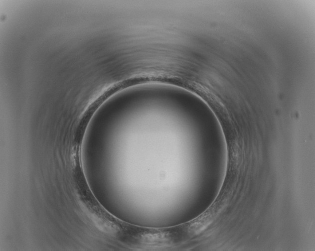 X0000061750160200512091645