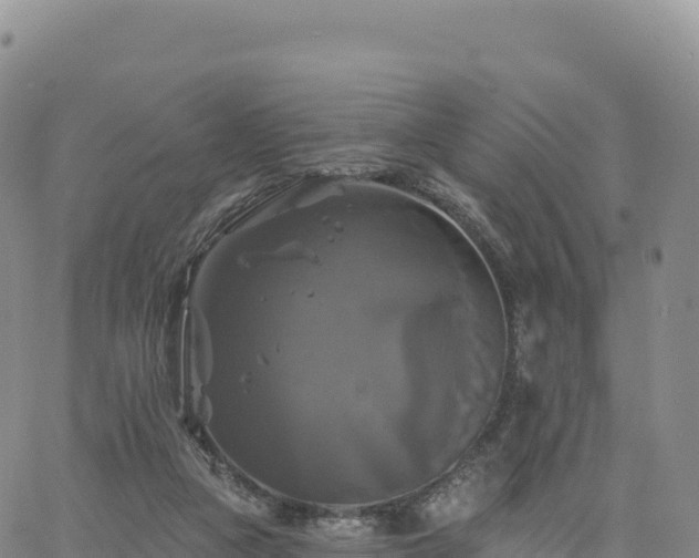 X0000061750161200512091645