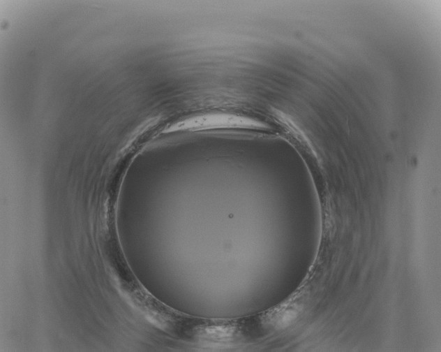 X0000061750163200512091645