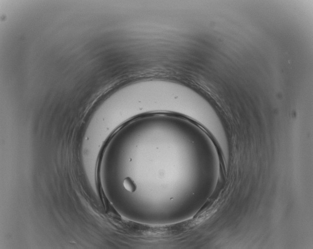 X0000061750164200512091645