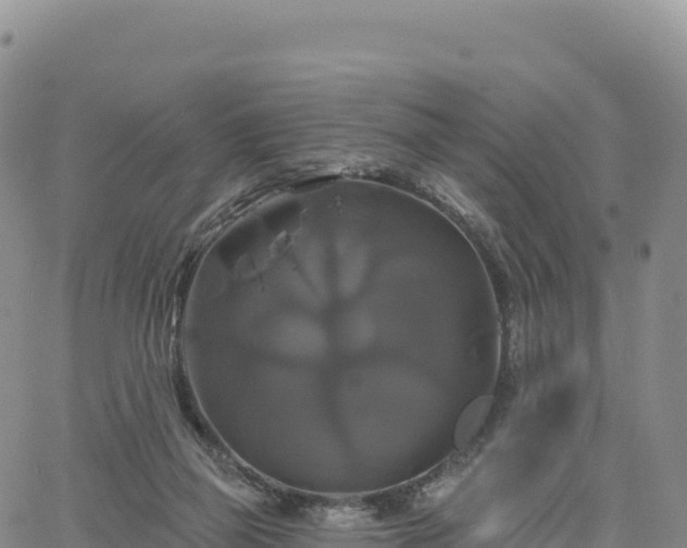 X0000061750165200512091645