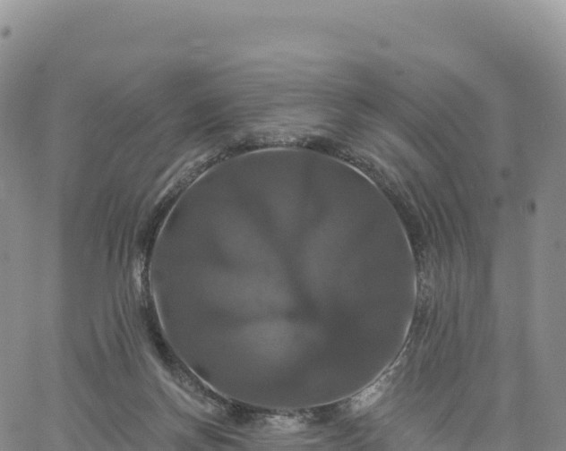 X0000061750166200512091645