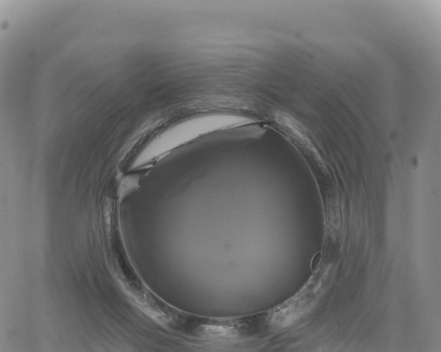 X0000061750167200512091645