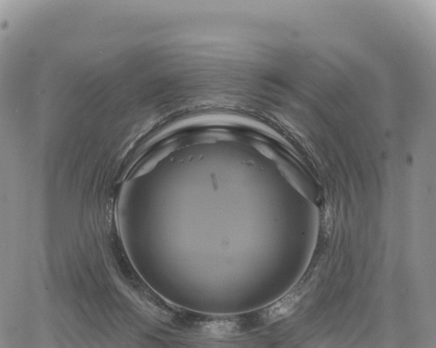 X0000061750168200512091645