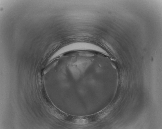 X0000061750169200512091645