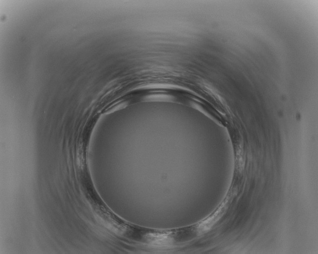 X0000061750170200512091645