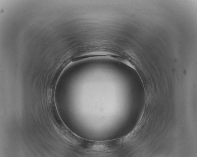 X0000061750171200512091645