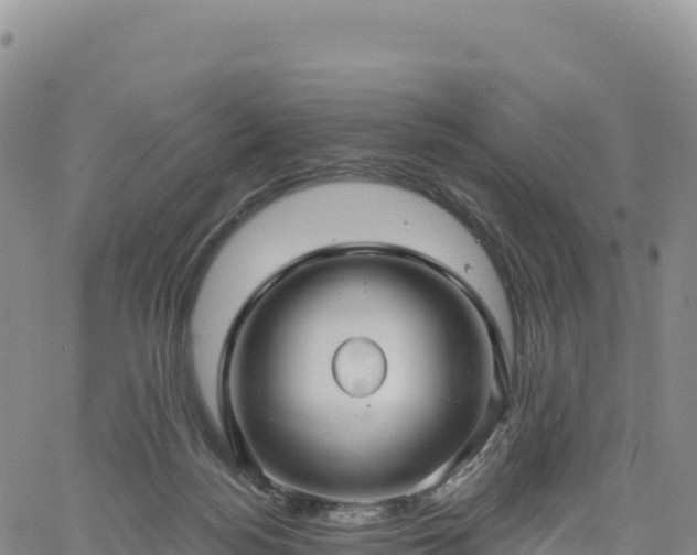 X0000061750172200512091645