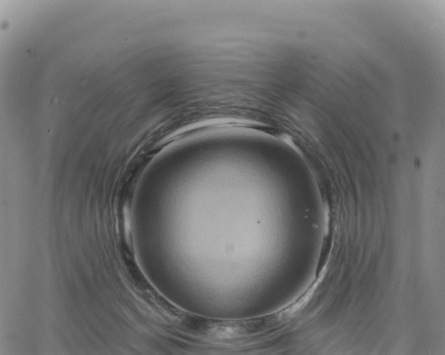 X0000061750174200512091645