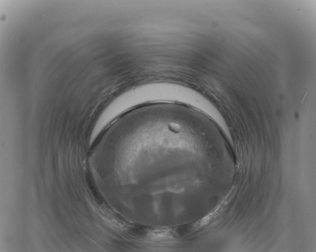 X0000061750175200512091645