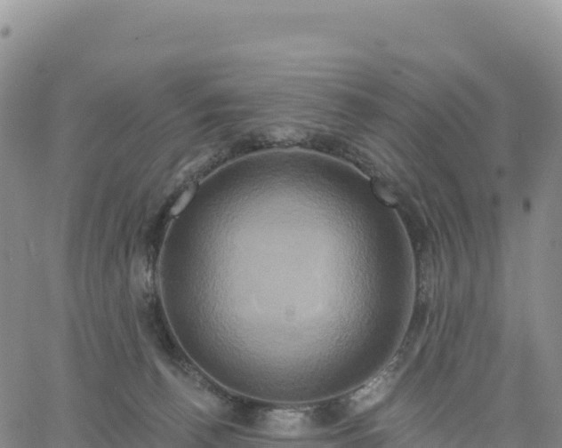 X0000061750176200512091645