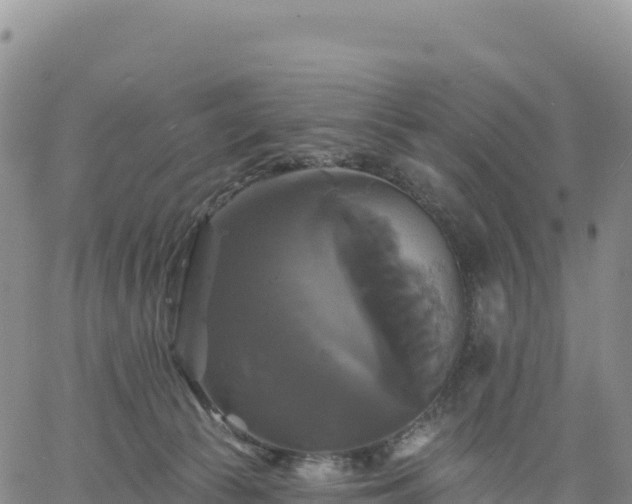 X0000061750177200512091645