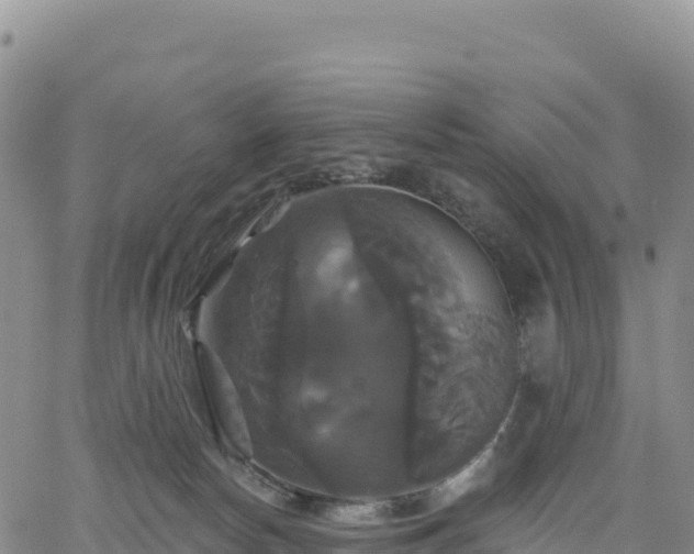 X0000061750178200512091645