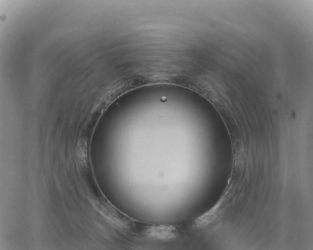 X0000061750179200512091645