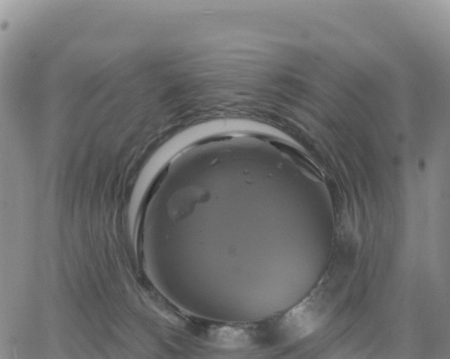 X0000061750180200512091645